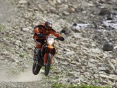 38121 Action 690 Enduro 5