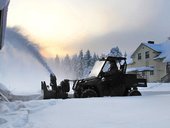 IMG 0299