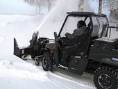 IMG 0437