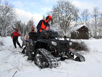IMG 0697