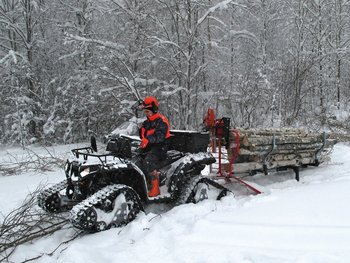 IMG 0782