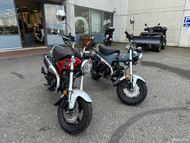Moottoripyörä Honda Dax 2023 12701096