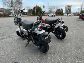 Moottoripyörä Honda Dax 2023 12701102