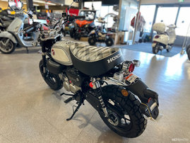 Moottoripyörä Honda Monkey 2024 13354621