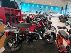 Honda Dax 2948358