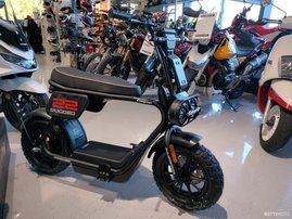 Coopop Rugged 2975274