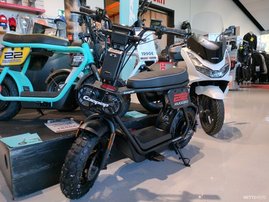 Sähkökulkuneuvot Coopop Rugged 2025 17763128