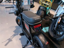 Sähkökulkuneuvot Coopop Rugged 2025 17763129