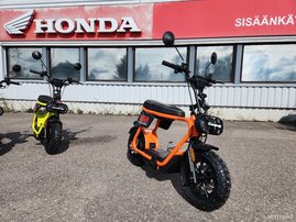 Sähkökulkuneuvot Coopop Rugged 2025 14343740