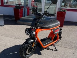 Coopop Rugged 3065981