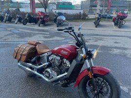 Indian Scout 3221446