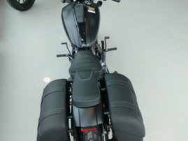 Moottoripyörä Indian Scout 2025 20071361