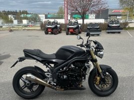 Moottoripyörä Triumph Speed Triple 2008 20243155