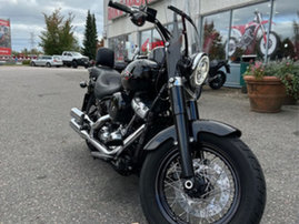 Moottoripyörä Harley-Davidson Softail 2019 22804792