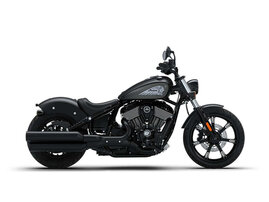 Indian Chief 3309816