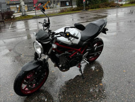 Moottoripyörä Suzuki SV 2022 23355661