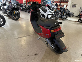 Skootteri NIU M+ Sport 2022 24044757