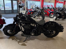 Indian Chief 3329803