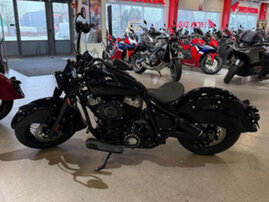 Indian Chief 3329803