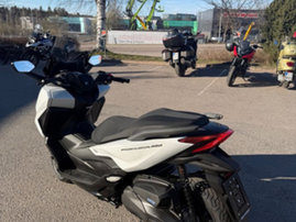 Skootteri Honda Forza 2025 25149876