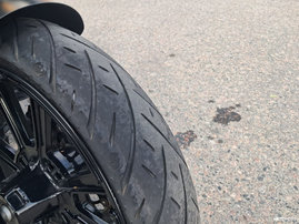 Moottoripyörä Indian Scout 2023 25631822