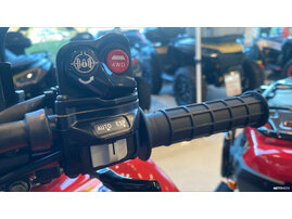 Mönkijä Honda TRX 2026 27254476