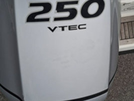 Moottorivene AMT 230 DC 2020 3030799