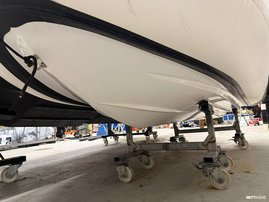 Rib-vene Suzumar  2013 3107108