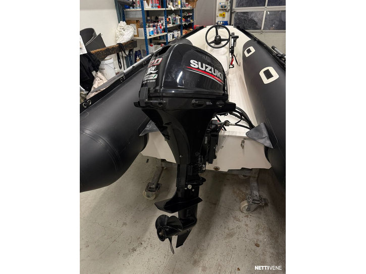 Rib-vene Suzumar  2013 3107115