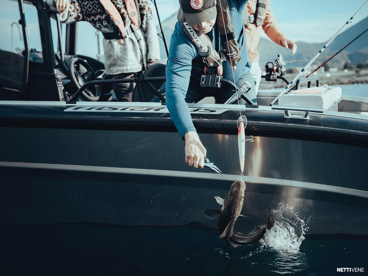 Moottorivene Faster 635 CC 2026 3109630