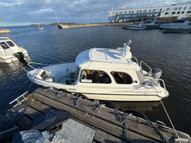 TG 6500 Sport Cruiser 1029608