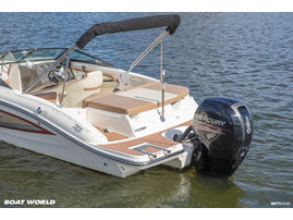 Moottorivene Sea Ray 190 SPOE 2017 3220253