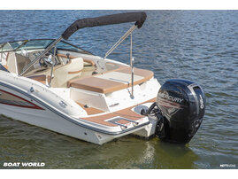 Moottorivene Sea Ray 190 SPOE 2017 3220253
