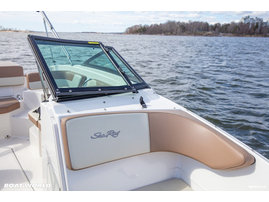 Moottorivene Sea Ray 190 SPOE 2017 3220258