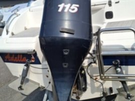 Moottorivene Bella Excel 530 2008 2792878