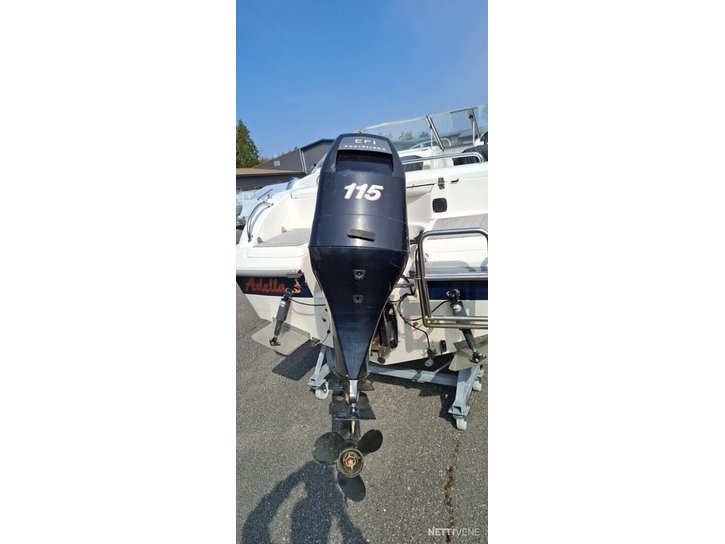 Moottorivene Bella Excel 530 2008 2792878