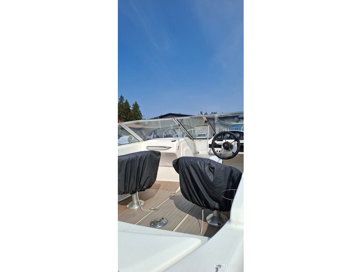 Moottorivene Bella Excel 530 2008 2792879