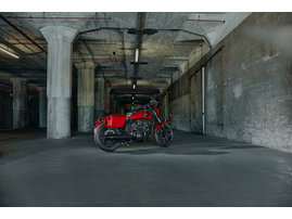 my26-imc-sportscoutrt_u7a28191