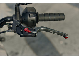 my26-imc-sportscoutrt_u7a3127