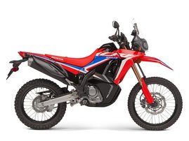 CRF300 Rally