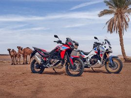24YM CRF1100LDR Africa Twin L1 DCT 31