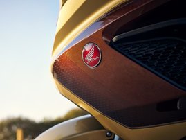 25YM GL1800 Gold Wing Tour 50th Anniversary DCT Airbag YR387N Eternal Gold 12