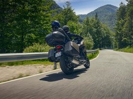 Mat Warm Ash Metallic