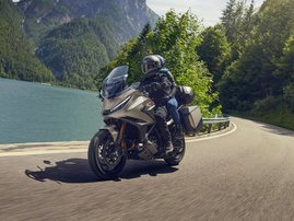 Mat Warm Ash Metallic