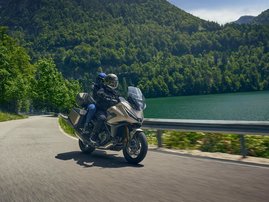 25YM NT1100 YR386 Mat Warm Ash Metallic DCT ES 19