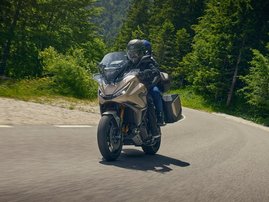 25YM NT1100 YR386 Mat Warm Ash Metallic DCT ES 23