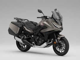 Mat Warm Ash Metallic