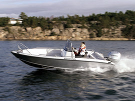 EAGLE10010