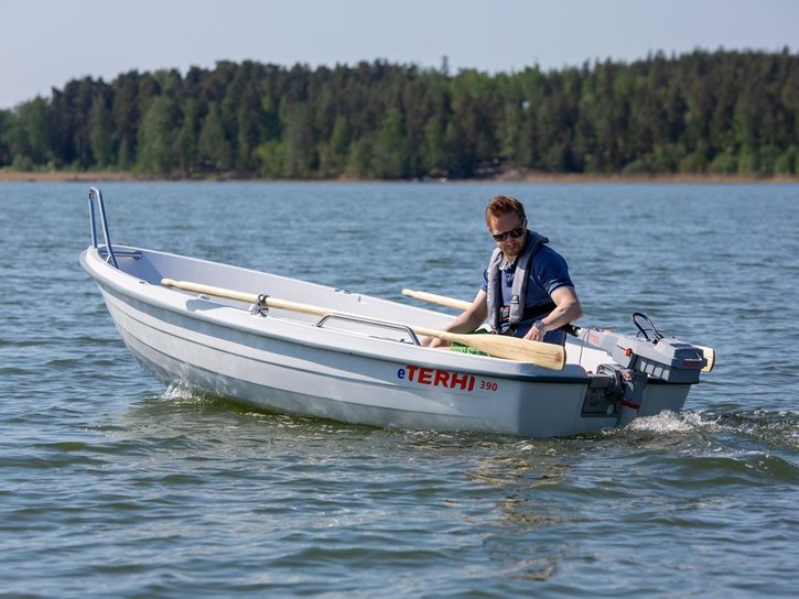 Väri: TER390